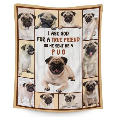 I Ask God Blanket: True Friend Pug Collage Design