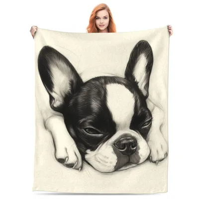 Sleeping Boston Terrier Portrait Blanket