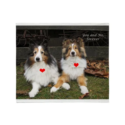 You and Me Forever Dogs Blanket: Collie Pair with Hearts