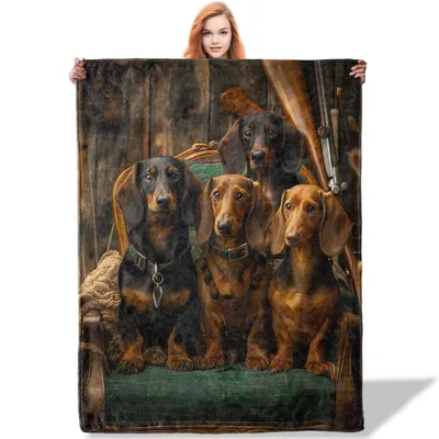 Group of Dachshunds Painting Blanket: A Vintage Portrait Design