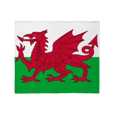Welsh Red Dragon Flag Blanket: Bold Welsh Symbol on Soft Fleece