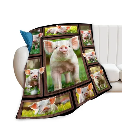 Baby Pig Photos Blanket: A Gallery of Cute Piglet Images
