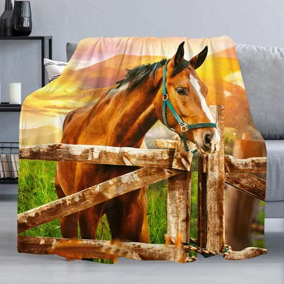 Horse Farm Pasture Blanket: A Chestnut Horse at Sunset
