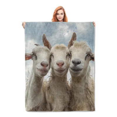 Goat Animal Photo Blanket Three Goats Close-Up Design
