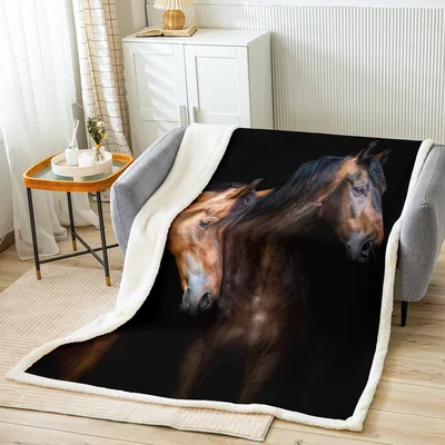 Horse Portrait Animal Blanket: Two Steeds on Black Background