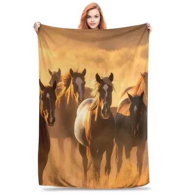 Horses Running Sunset Blanket: Golden Hour Herd Design for Equestrians