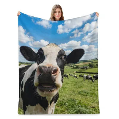 Holstein Cow Close Up Blanket: Curious Farm Animal Portrait