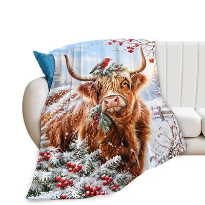 Highland Cow in Winter Blanket featuring a shaggy brown cow