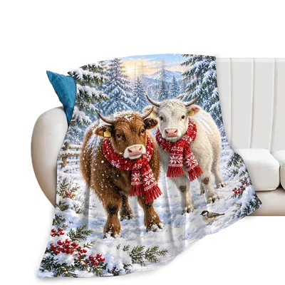 Highland Cows in Winter Blanket: Fluffy Cattle with Red Scarves