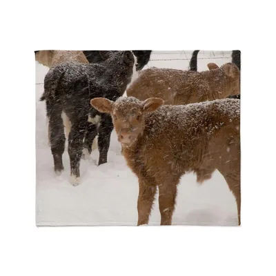 Calves in the Snow Blanket: Winter Calf Photo Throw