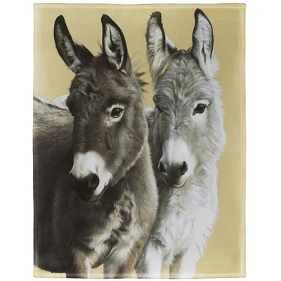 Two Donkeys Portrait Blanket: Realistic Farm Animal Art
