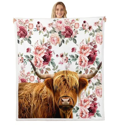 Highland Cow with Pink Blanket: Shaggy Cattle and Roses
