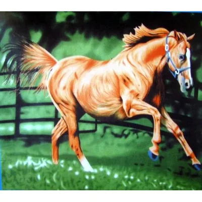 Running Horse in Forest Blanket: Galloping Art for Equestrians