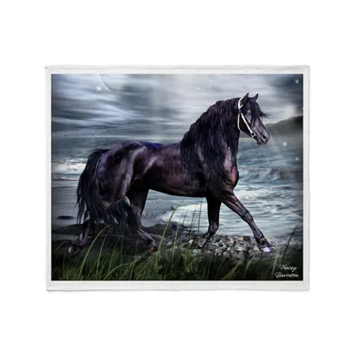 Black Friesian Horse Blanket: Artistic Equestrian Print