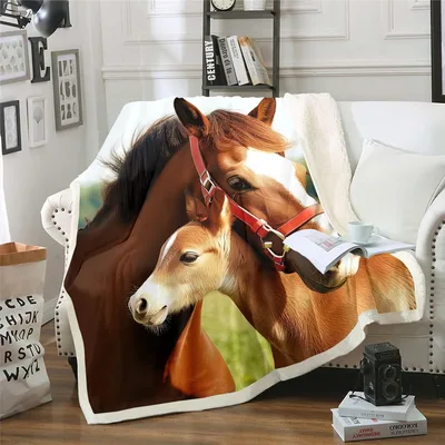Brown Horses Portrait Blanket: Realistic Foal and Mare Design