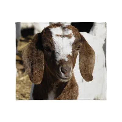 Cute Kid Goat Photo Blanket: A Close-Up of a Brown and White Baby Goat