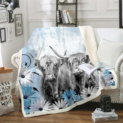 Highland Cows with Blue Blanket: Shaggy Herd and Daisy Art