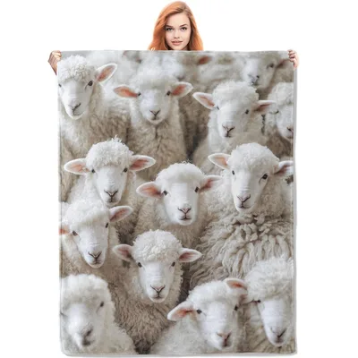 Flock of Sheep Photo Blanket: Fluffy Farm Animal Design