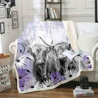 Highland Cows with Daisy Blanket: Shaggy Herd and Purple Floral Art