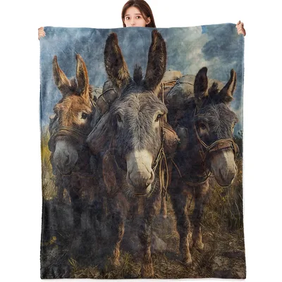 Three Donkeys Countryside Blanket: Realistic Farm Animal Art