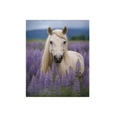 Palomino Horse in Lavender Blanket: A Golden Stallion in Purple Fields