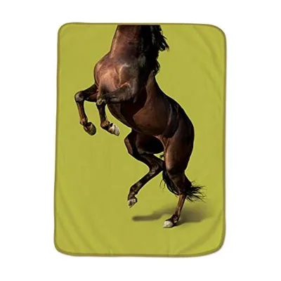 Rearing Brown Horse Portrait Blanket: A Dynamic Equine Print