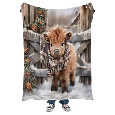 Highland Calf at Wooden Blanket: Cozy Farm Animal Art