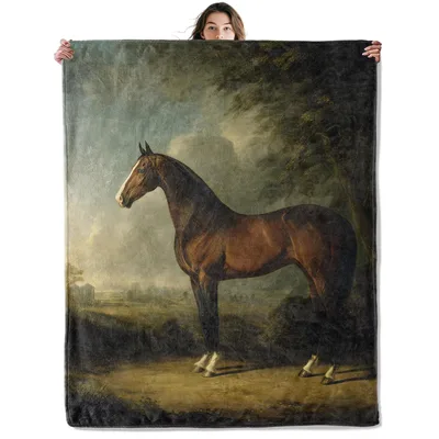 Classic Horse Portrait Painting Blanket: Vintage Equestrian Art Design