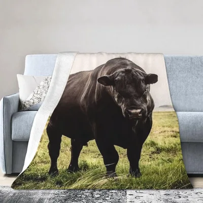 Black Angus Bull Blanket