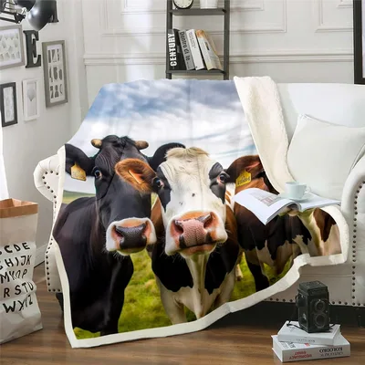 Three Cows in Field Blanket: Curious Farm Animals on a Throw
