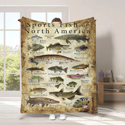 Sports Fish of North Blanket: A Vintage Species Chart for Anglers