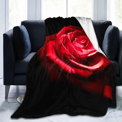 Red Rose on Black Blanket: Bold Floral Design for Dark Aesthetics
