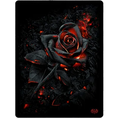 Burnt Red Rose Blanket: A Charcoal Flower Glowing with Embers