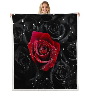 Red Rose on Black Blanket