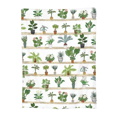 Potted Plants on Shelves Blanket