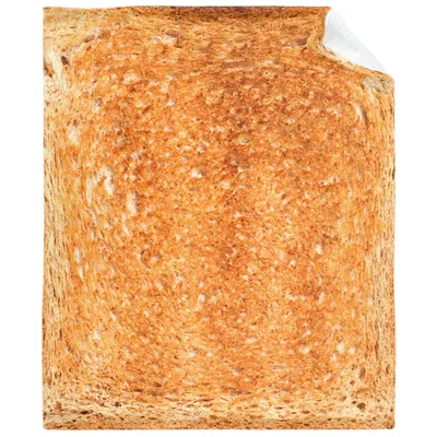 Toast Bread Food Photo Blanket for Realistic Toast Lovers