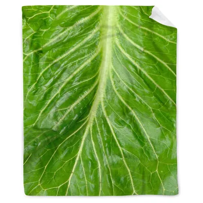 Green Lettuce Leaf Pattern Blanket for Foodies and Garden Lovers