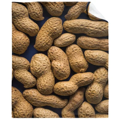 Peanut Food Photo Print Blanket: A Full-Print Peanut Shell Design