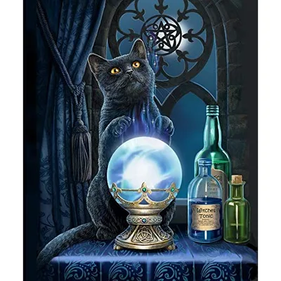 Black Cat with Crystal Blanket: Mystical Feline Design
