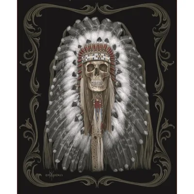 Skull with Feather Headdress Blanket: Gothic Art Design
