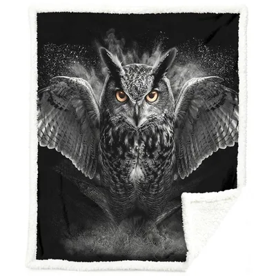 Gothic Owl Mystical Blanket: Dark Aesthetic Owl Art for Home