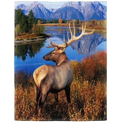 Elk in Mountain Landscape Blanket: Wild Nature Print for Home
