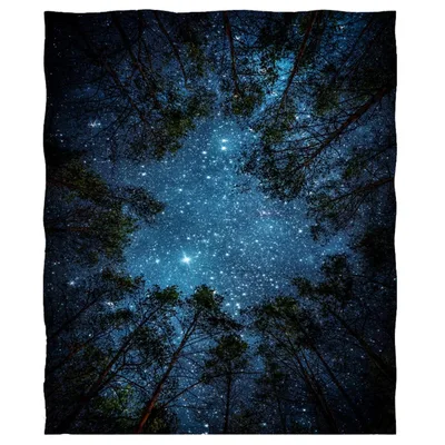 Starry Night Sky Forest Blanket: A Galaxy View Through the Trees