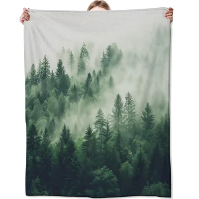 Misty Pine Forest in Fog Blanket: Serene Green Landscape
