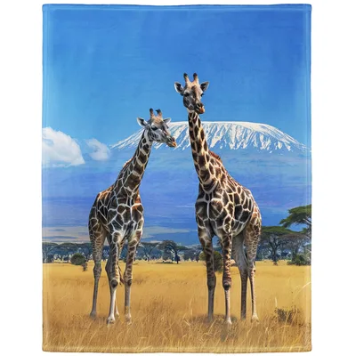 Giraffes on African Savanna Blanket: Kilimanjaro Wildlife Throw