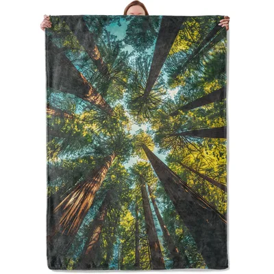 Forest Canopy Looking Up Blanket: A View of Towering Trees