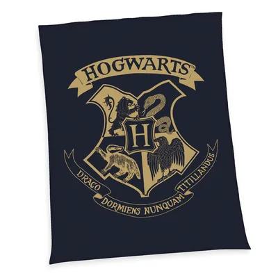 Castle School Crest Emblem Blanket: House Crest Design
