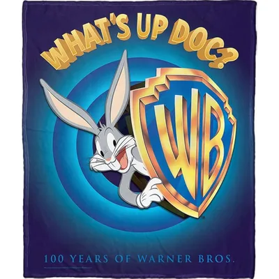What's Up Blanket Celebrating Warner Bros 100th Anniversary