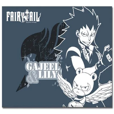 Gajeel and Lily Art Blanket: Fairy Tail Character Design