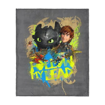 Dragon Follow My Lead Blanket: Toothless and Hiccup Artwork